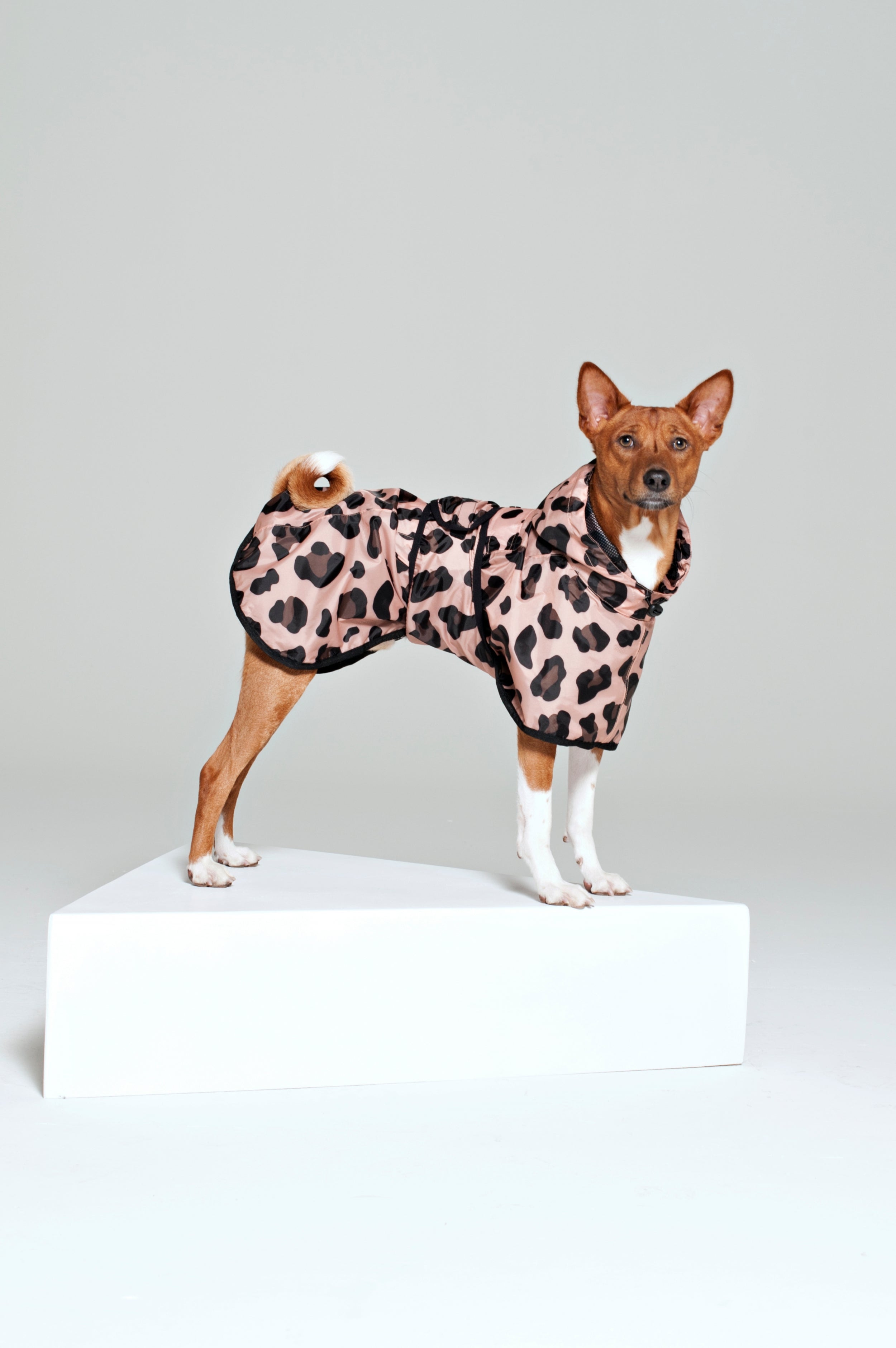 Poncho impermeable portable para perros - Doglemi - Cochikis Pet Shop